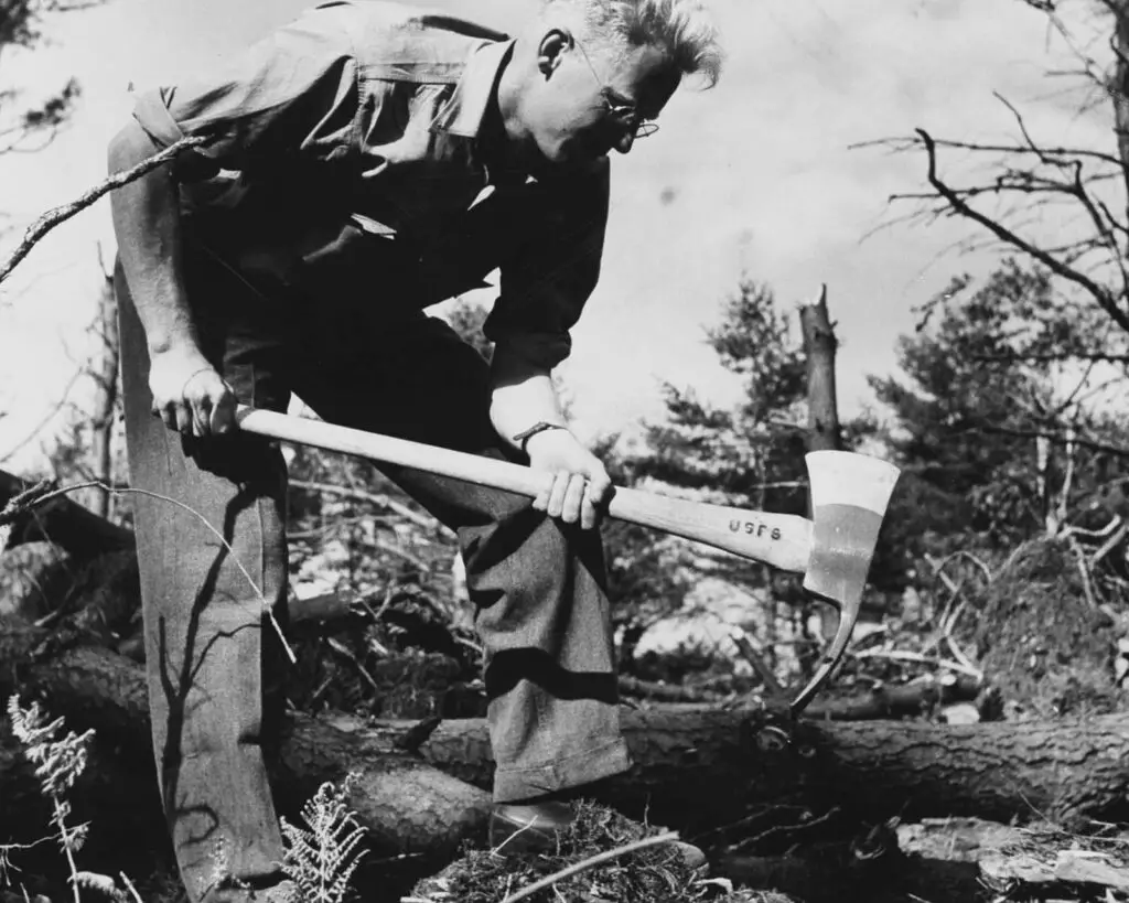 US Forest Service Pulaski tool in use as a hoe